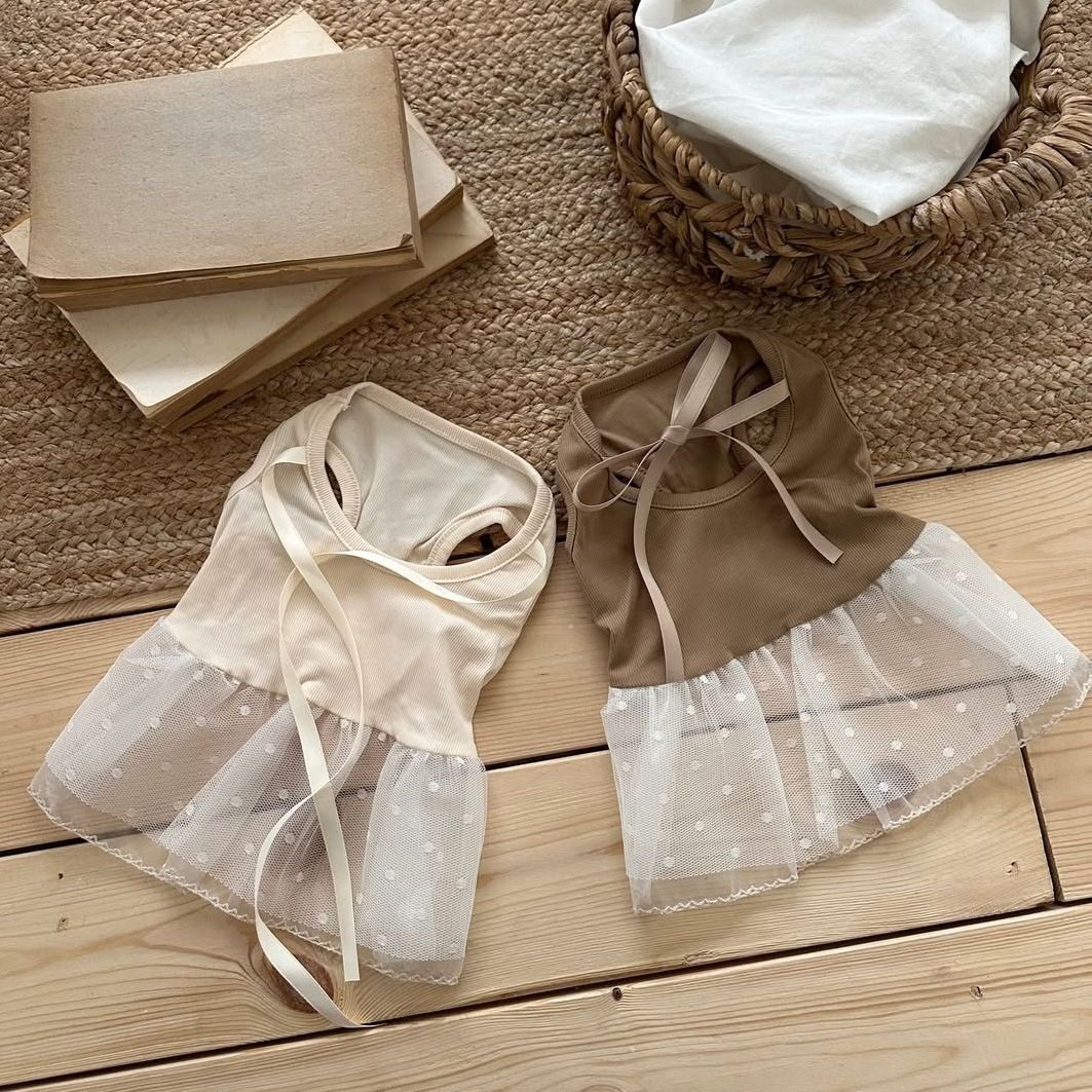 Lace Teddy Lingerie - فستان صيفي للحيوانات الأليفة مزين بالدانتيل